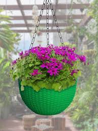 Plastic Hanging Pot